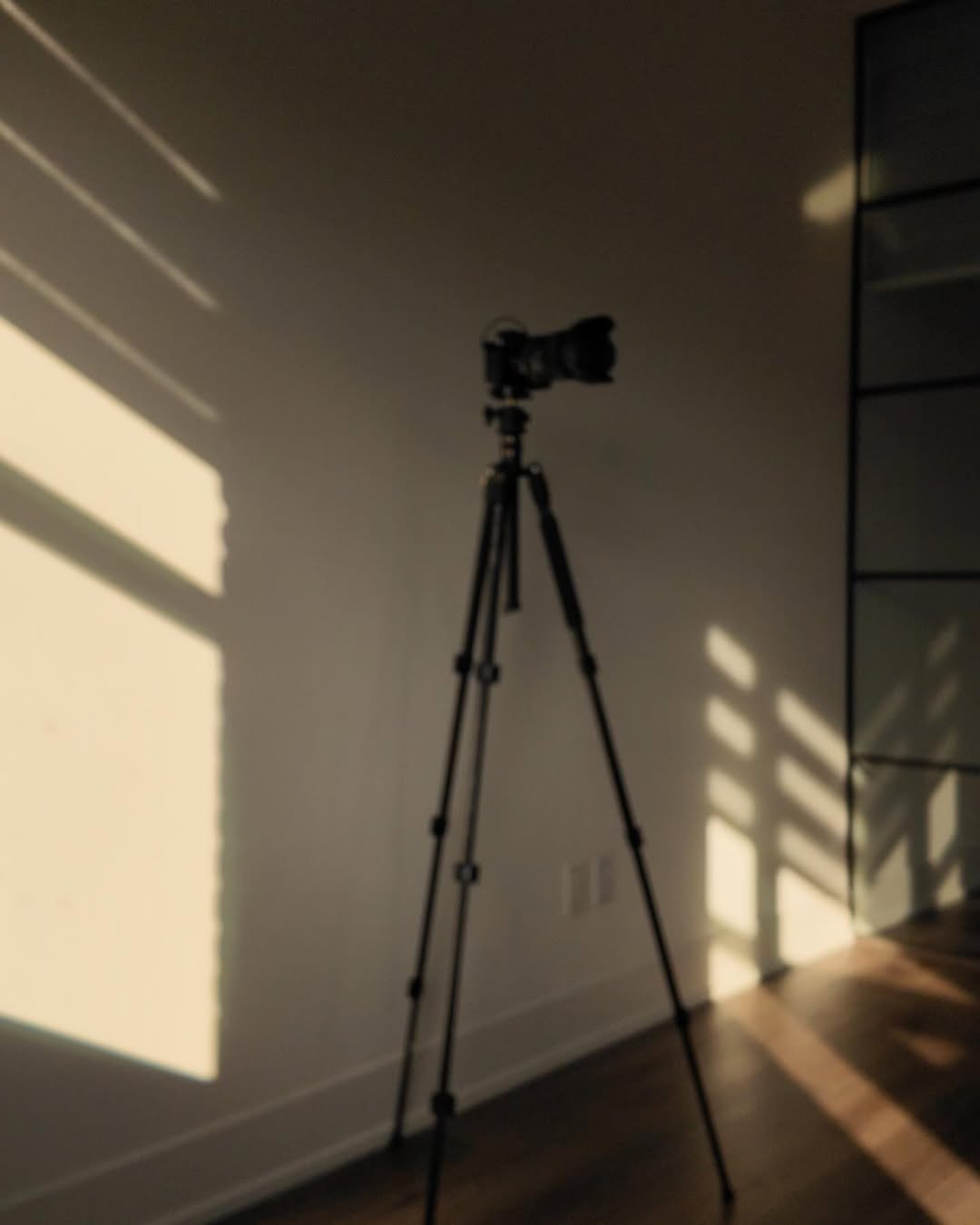 photographer in toronto main slide image