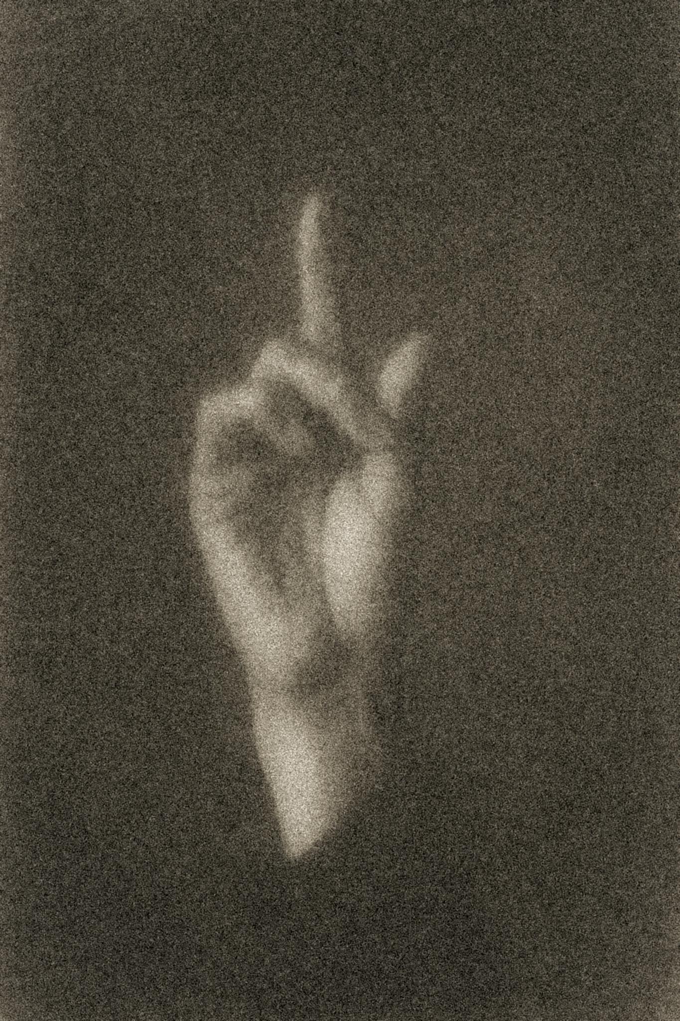 Toronto Photographer Thought Image